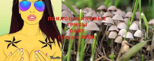 круглые Дмитров