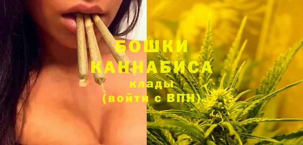 скорость Дмитриев