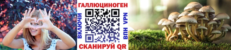 Купить где  Кемь  Галлюциногенные грибы GOLDEN TEACHER 