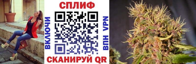 Купить где  Кемь  Каннабис White Widow 